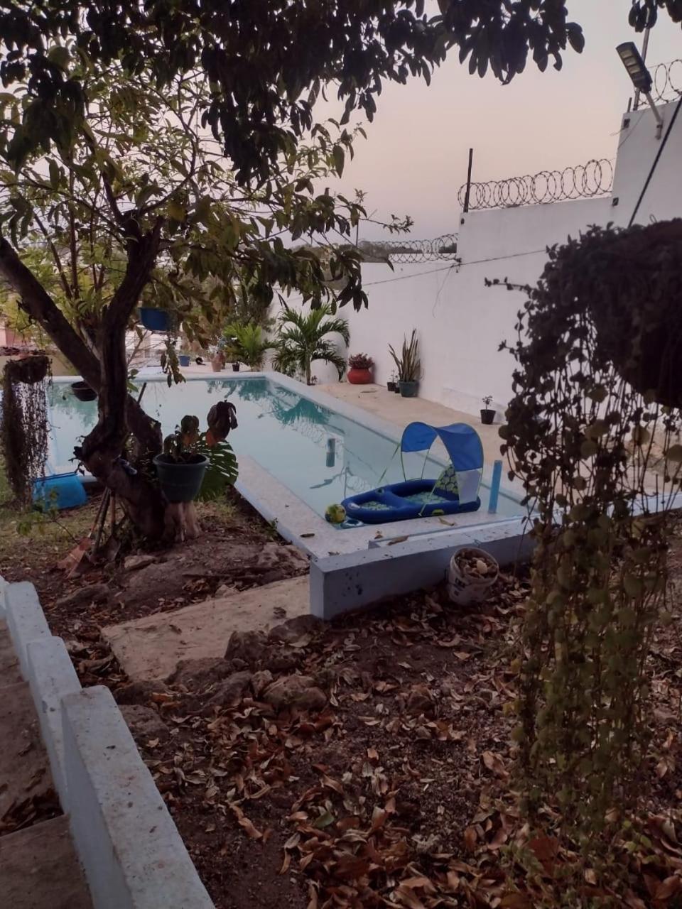קמפצ'ה San Diego Kaniste מראה חיצוני תמונה
