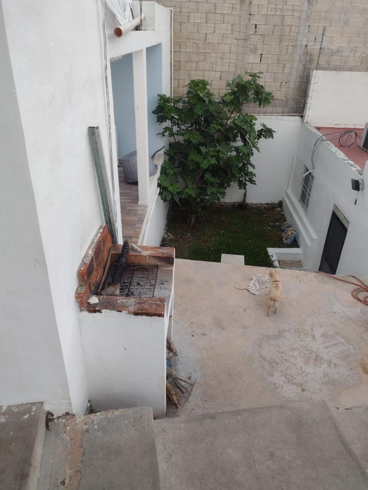 קמפצ'ה San Diego Kaniste מראה חיצוני תמונה
